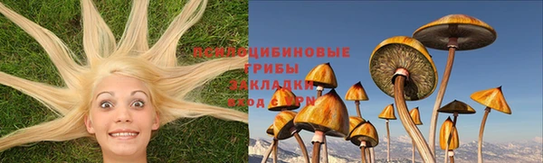 бошки Алексеевка