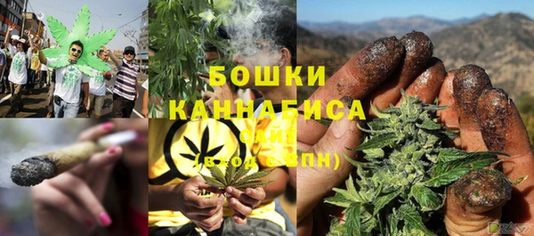 амф Аркадак