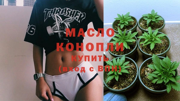 ECSTASY Алзамай