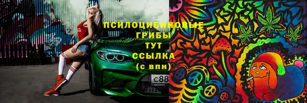 амф Аркадак
